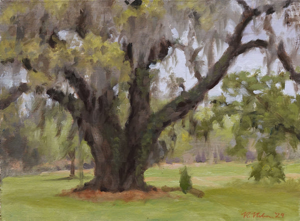Drayton Oak by Rich Nelson