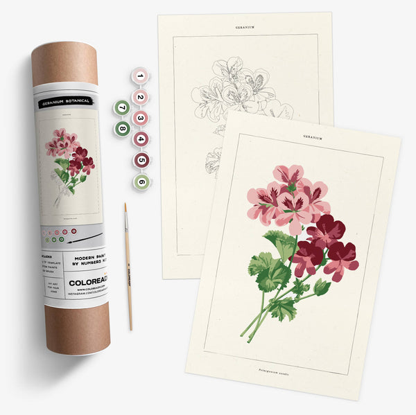 Geranium Botanical | Modern Paint By Numbers Kit