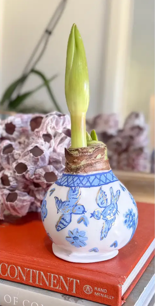 Hand Painted Blue and White Chinoiserie Waxed Amaryllis Bulb