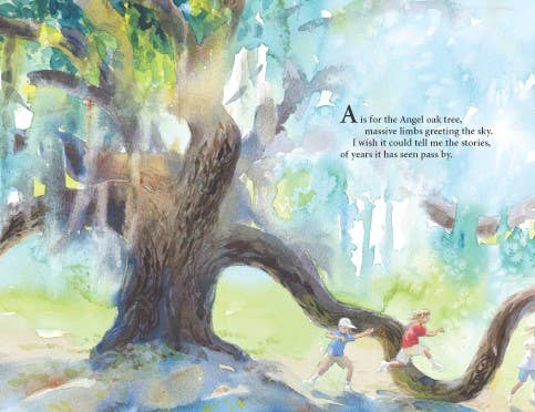 P is for Palmetto: A South Carolina Alphabet Picture Book