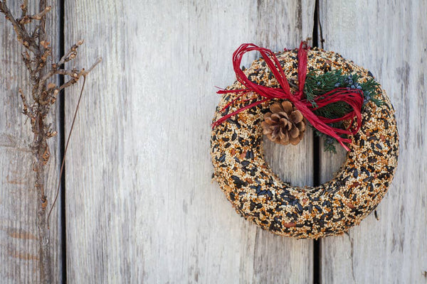 WildFeast Birdseed Wreath