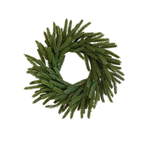 Norfolk Pine Real Touch Wreath - 12"