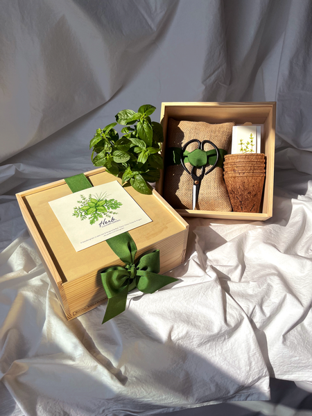 Culinary Herb Garden Box