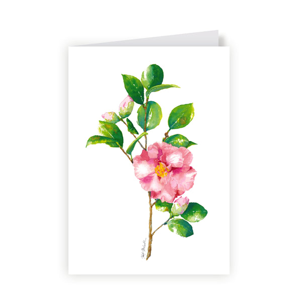 Watercolor Greeting Cards by Kat McCall