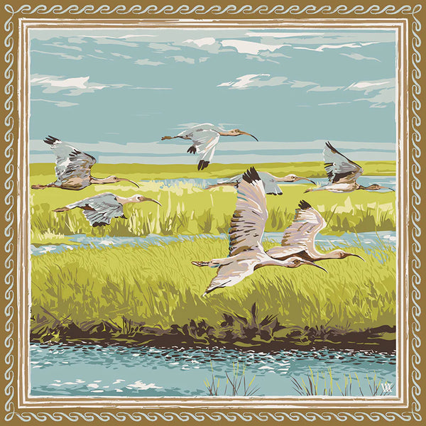 Marsh Flyers Scarf