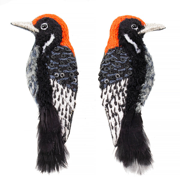 Exclusive - Ivory-billed Woodpecker Earrings