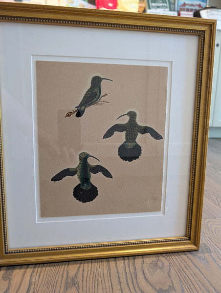 Framed George Edwards: Hummingbirds