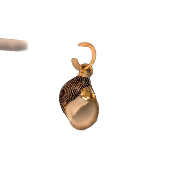 Shell Charm