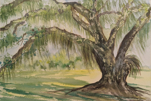 Drayton Hall Oak Tree 1 by Sha Huang