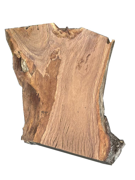 Historic Garden Oak Slab