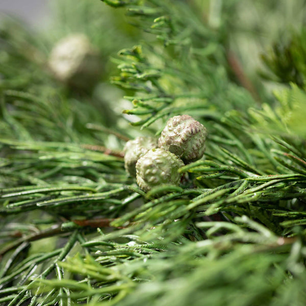 Faux Cypress & Berry Wreath