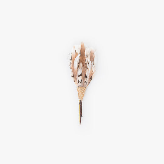 Cogdell Plum Thicket Pin by Brackish