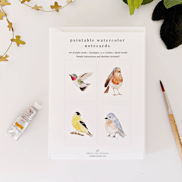 Paint Your Own Backyard Birds Notecards