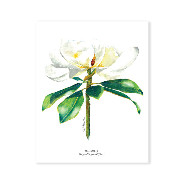 Watercolor Artwork Prints by Kat McCall