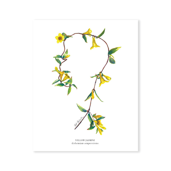 Watercolor Artwork Prints by Kat McCall