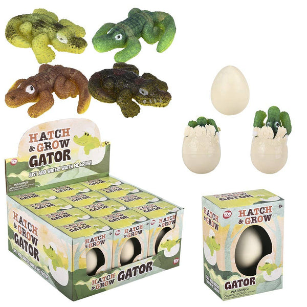 Hatch And Grow Alligator Egg